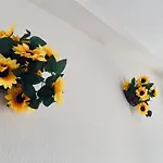 Apartamentos Ruz